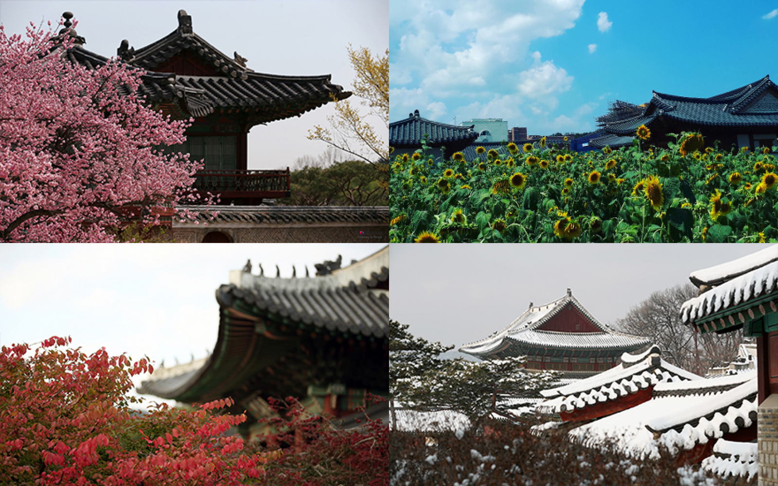 Korea, the land of twenty-four seasons : Knowing Korea